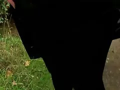 แฟนสาวของเขายังไงพอยู่ในห้องครัวหลายครั้งแล้ว ดู หนัง วีดีโอ โป๊